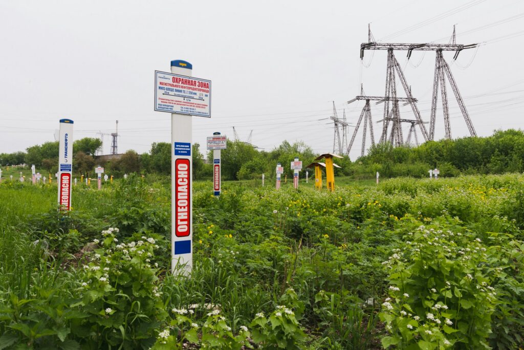 ecologie-1-1024x684 Écologie et urbanisme : la ville peut-elle vraiment faire bon ménage avec la nature ?