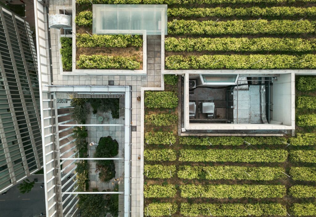 ecologie-2-1024x702 Écologie et urbanisme : la ville peut-elle vraiment faire bon ménage avec la nature ?