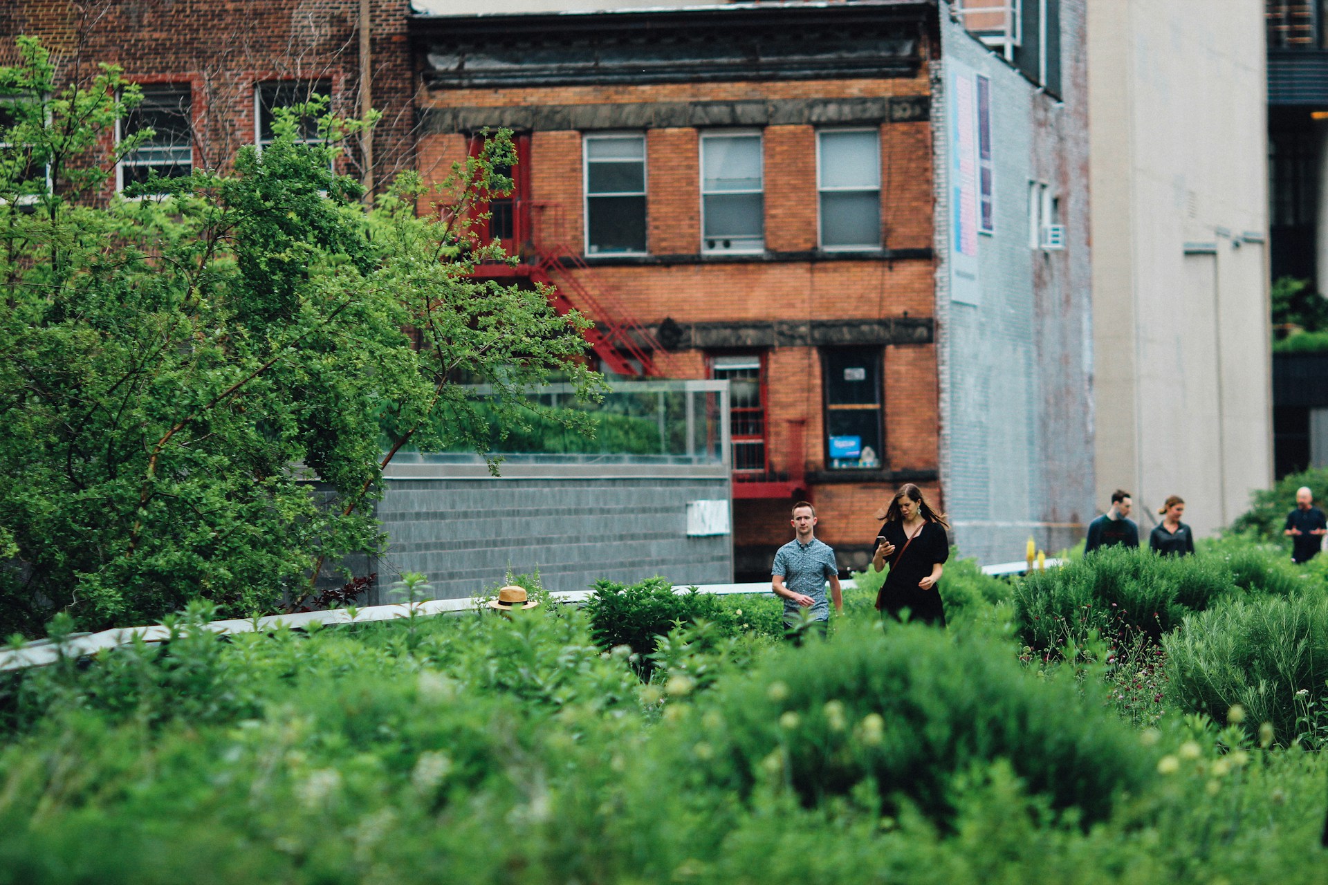 L'écologie et l'urbanisme