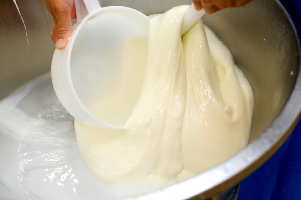 mozzarella-1-1024x680 La mozzarella, un choix plus mesuré que le fromage « bon pour le cœur »
